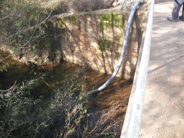 A25C (20)